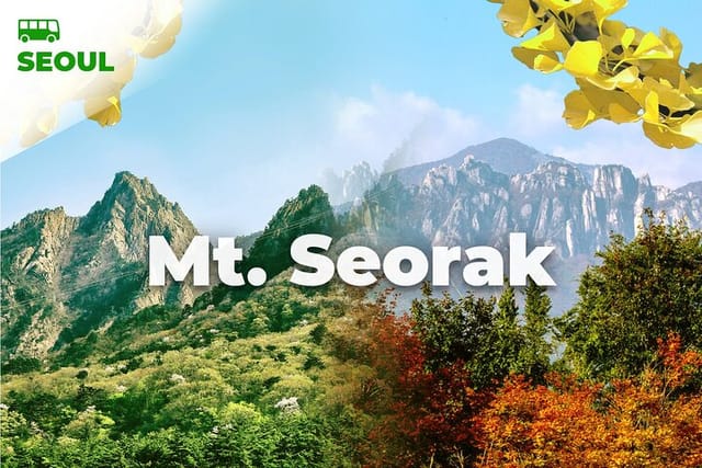 mt-seorak-the-tallest-ginko-tree-at-yongmunsa_1